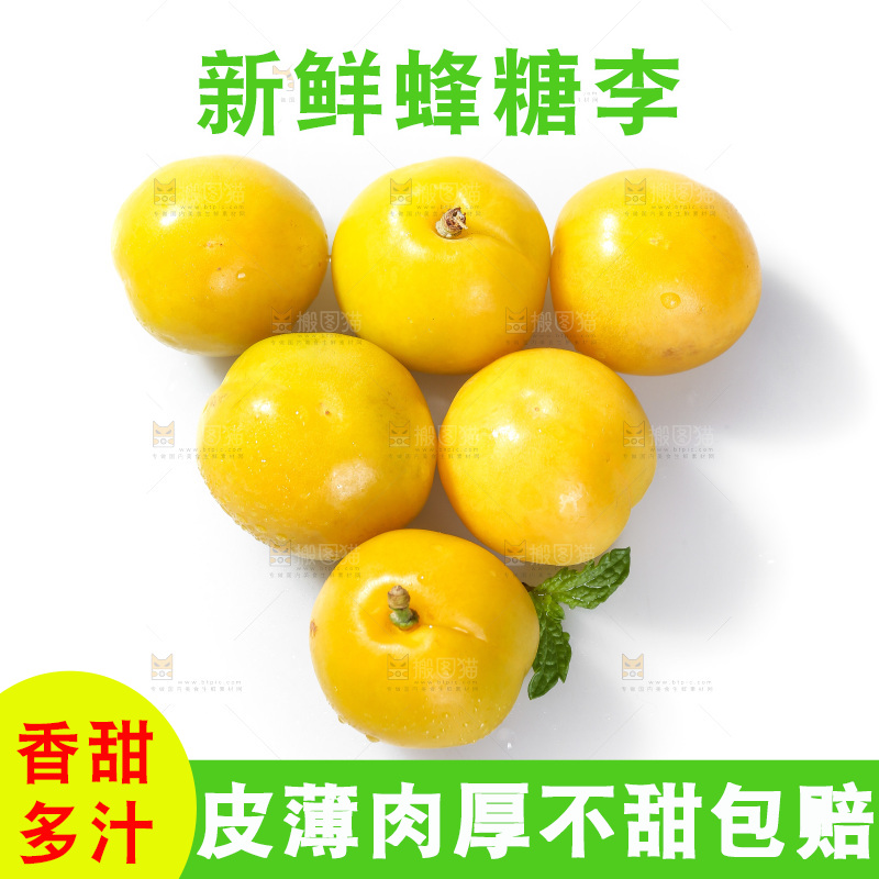 白底上的蜂糖李