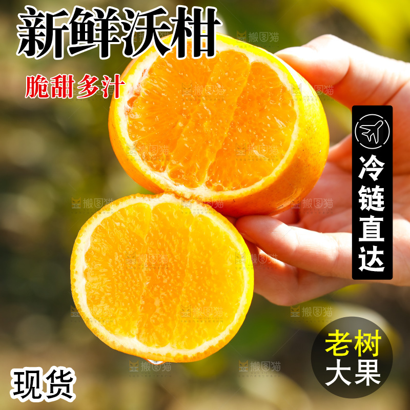 手里拿着沃柑