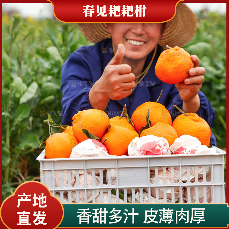 手里拿着耙耙柑