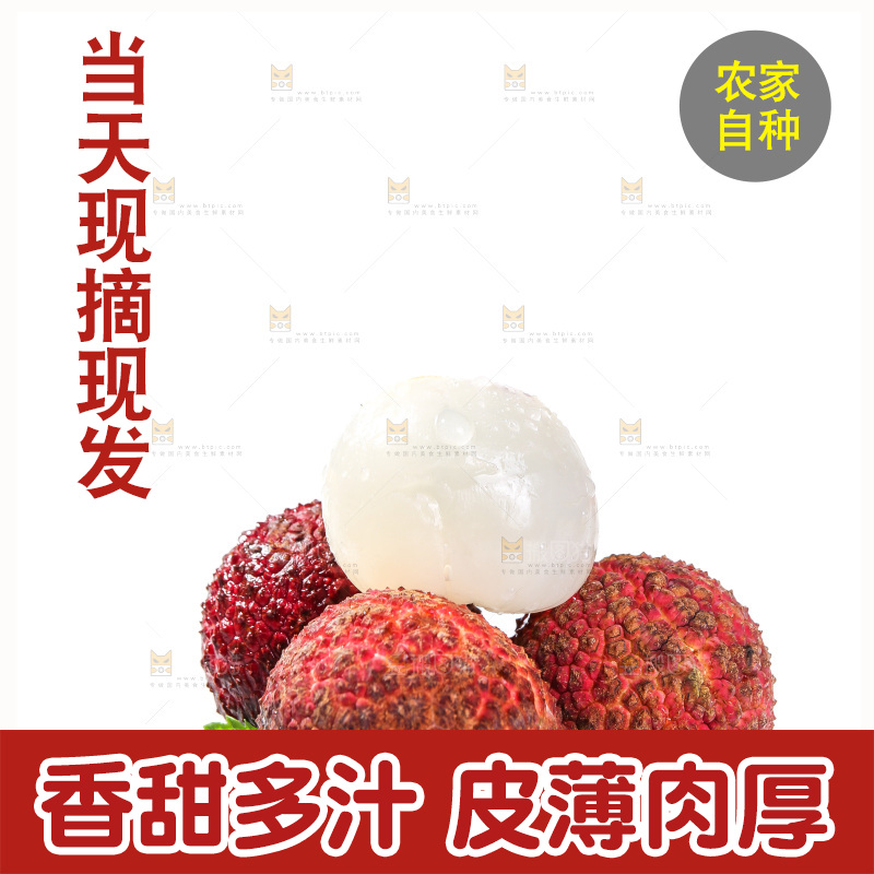 白底上的无核荔枝