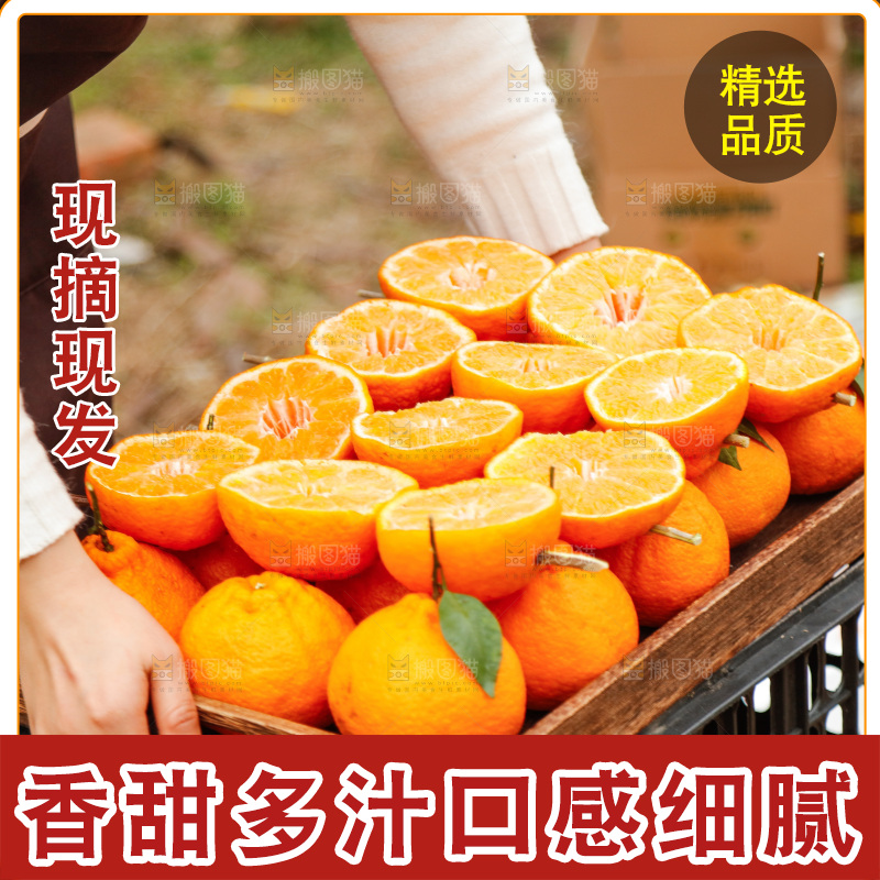 手里拿着耙耙柑