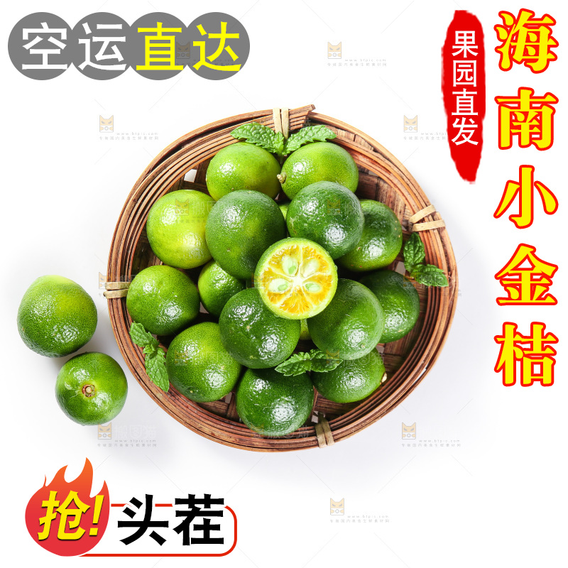 白底上的小金桔