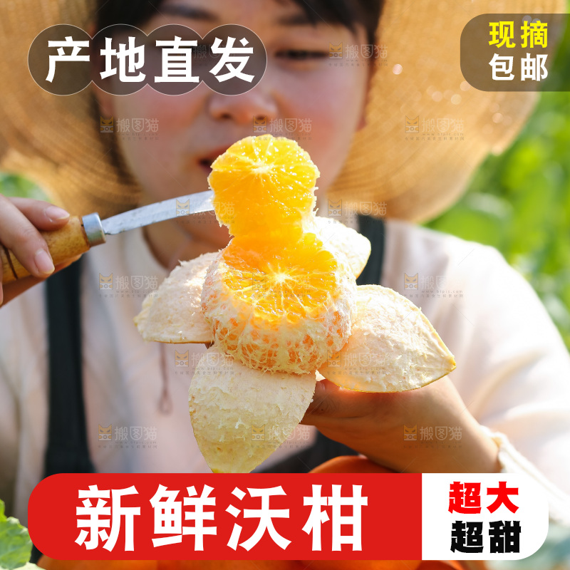 手里拿着新鲜沃柑