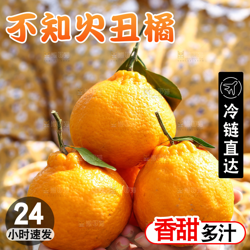 手里拿着丑八怪