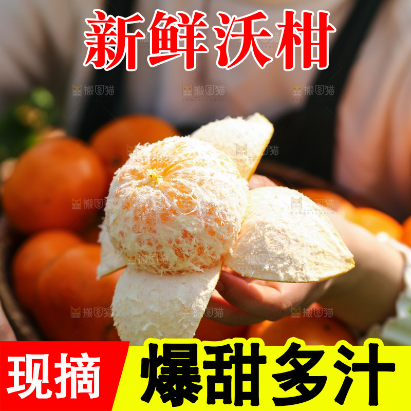 手里拿着新鲜沃柑