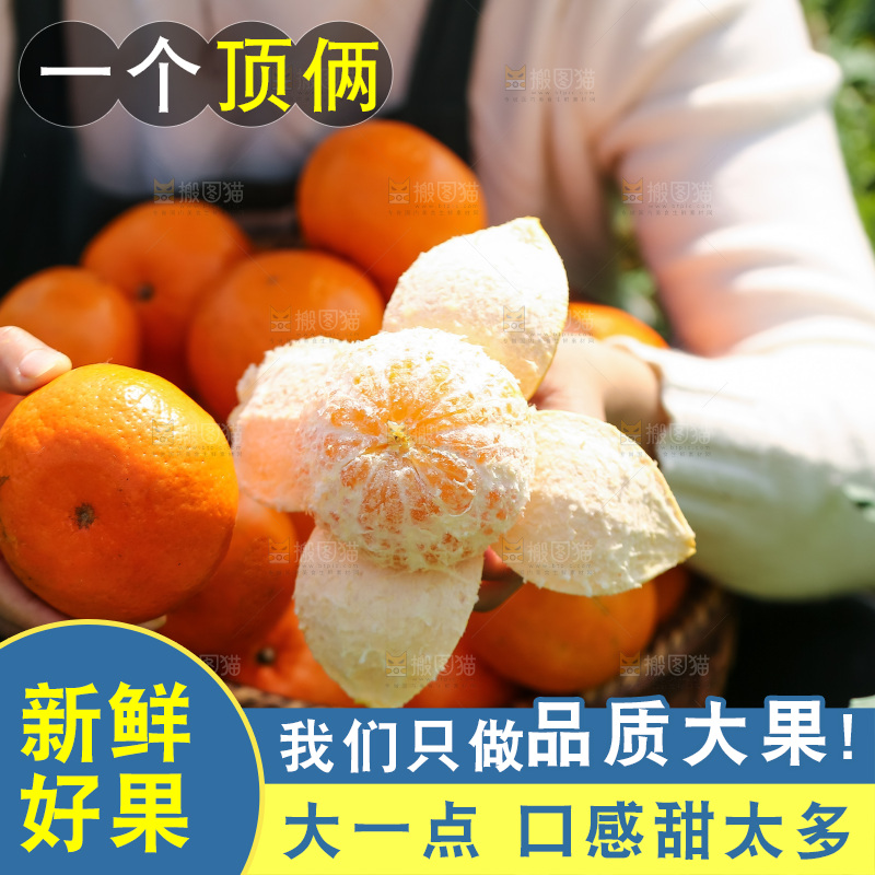 手里拿着新鲜沃柑