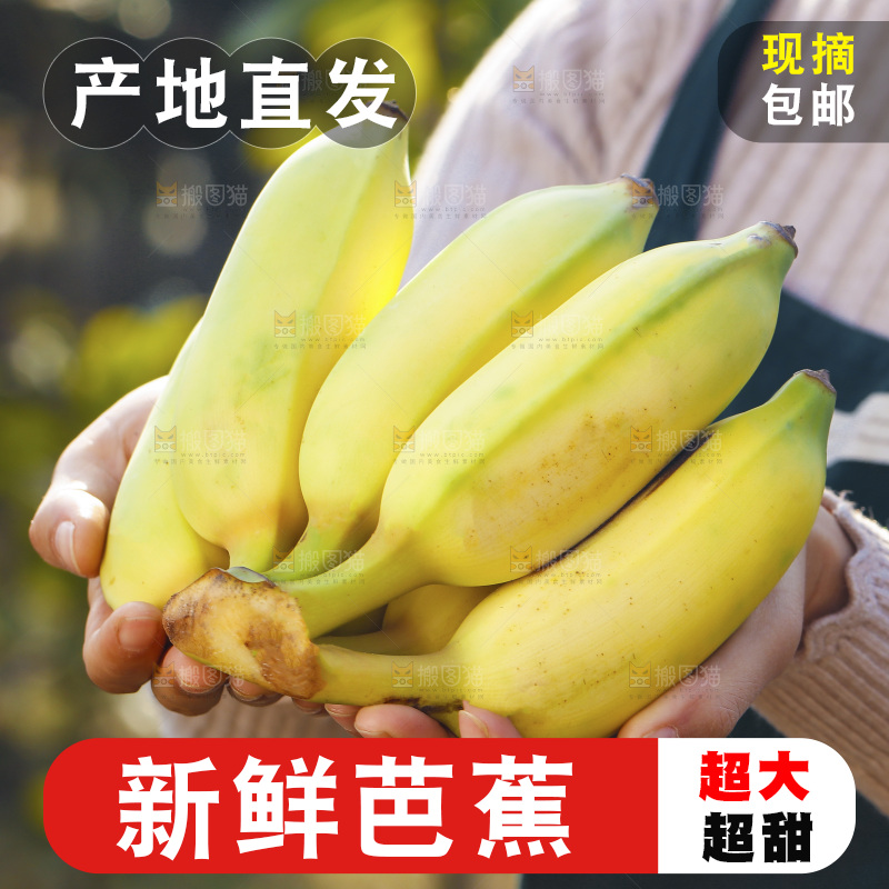 手里拿着广西芭蕉
