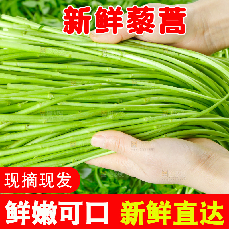 白底上放着藜蒿