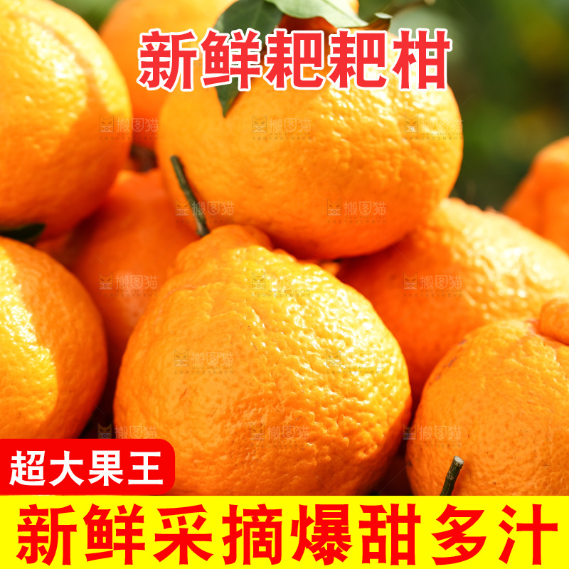 草地上的耙耙柑