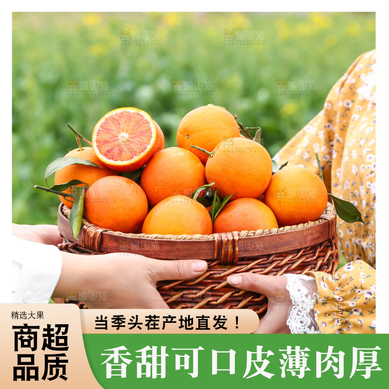 手里拿着赣南血橙