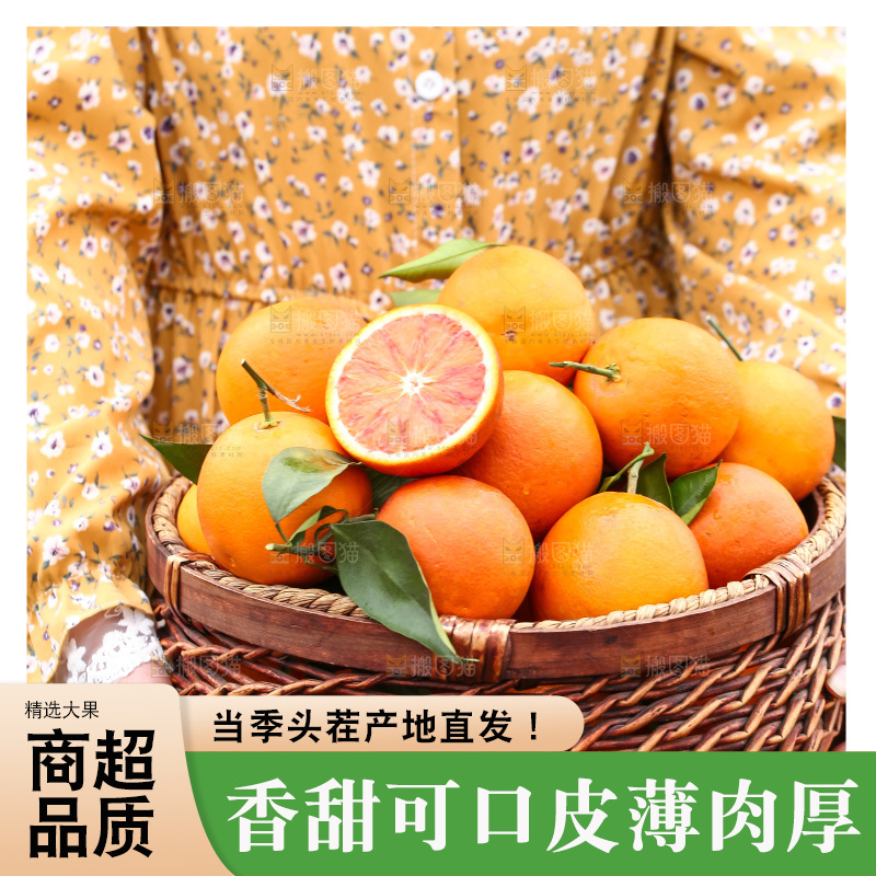 手里拿着赣南血橙