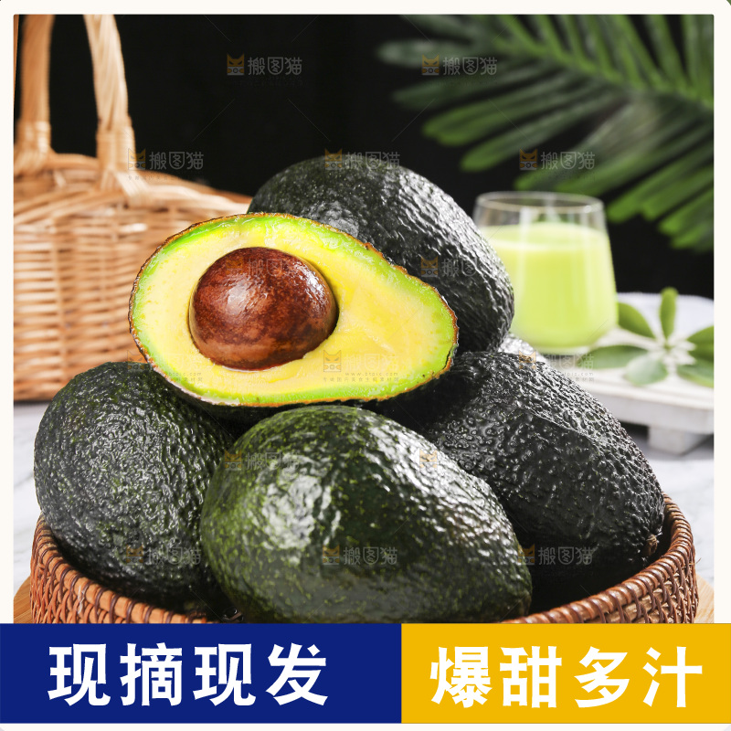 浅底上的巨无霸牛油果