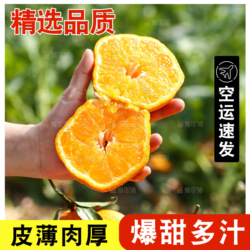 草地上的耙耙柑