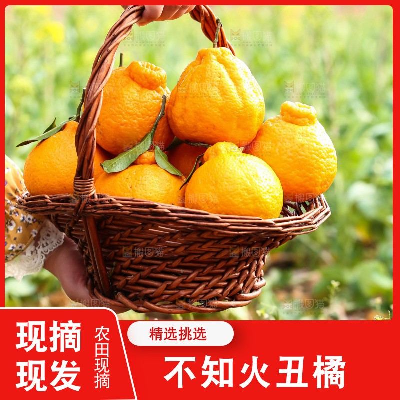 手里拿着丑八怪