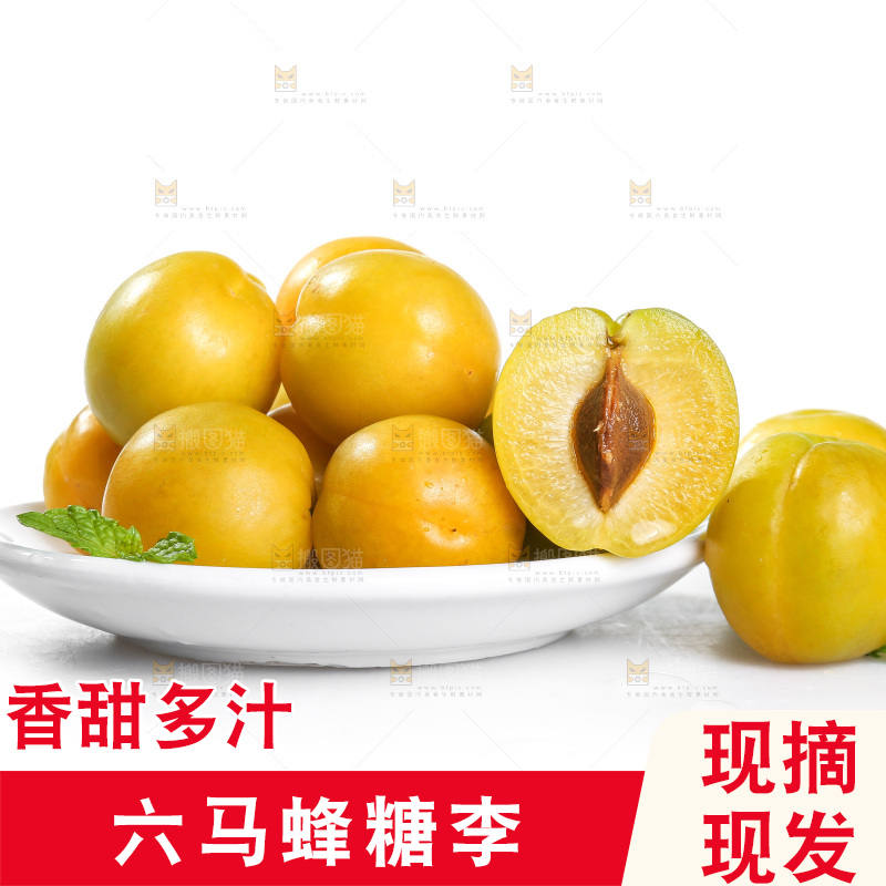 白底上的蜂糖李