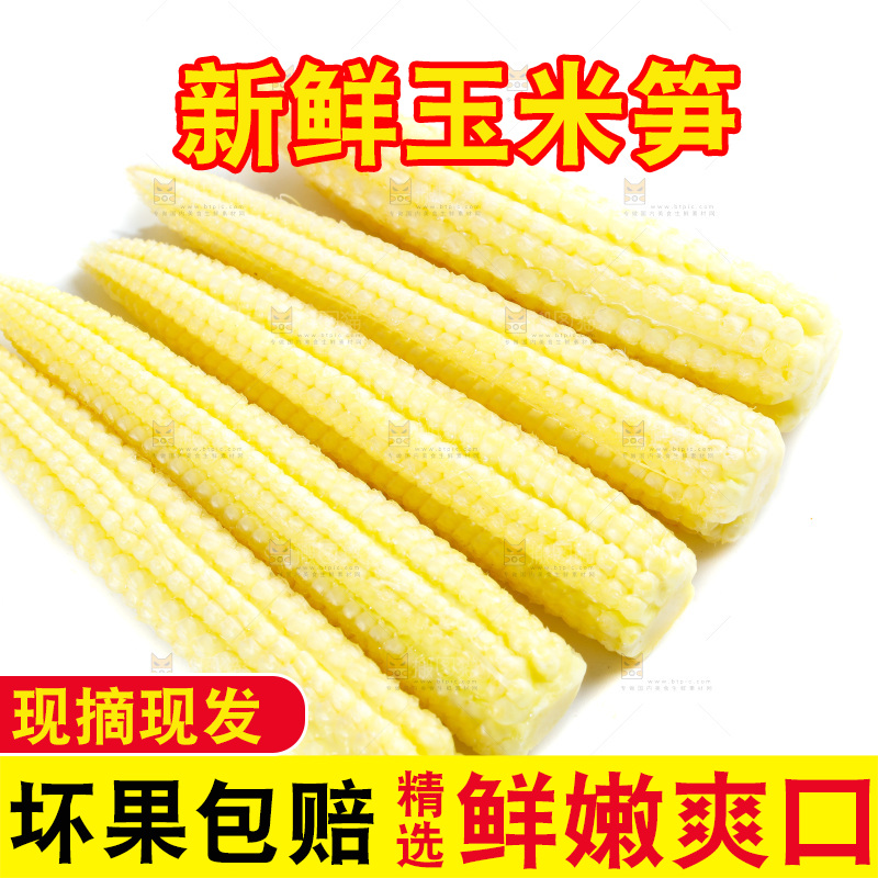 白底上的珍珠笋