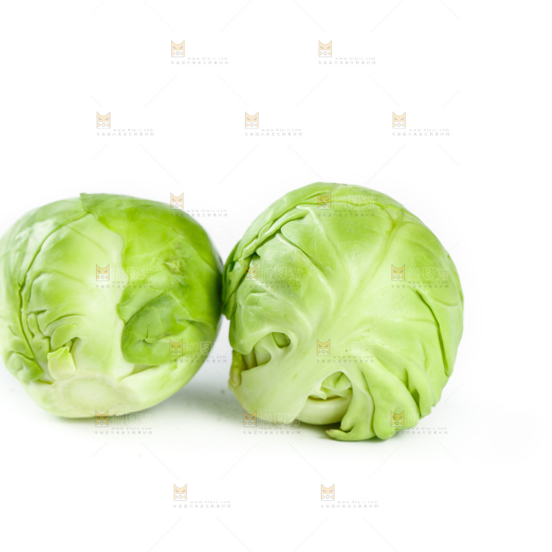 白底上的孢子甘蓝