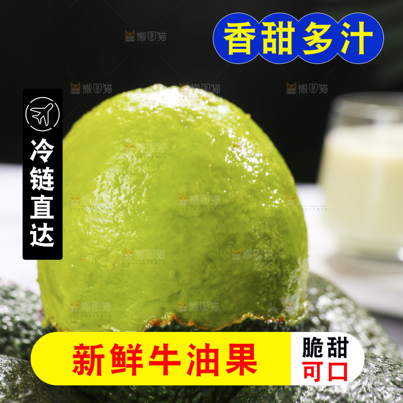 浅底上的巨无霸牛油果