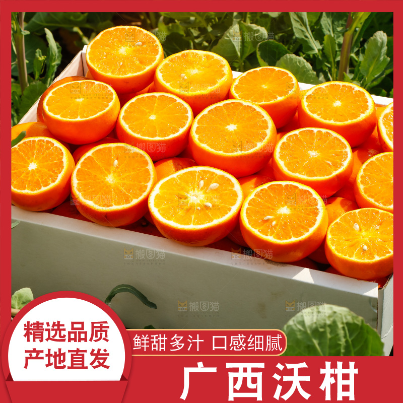 堆放着的新鲜沃柑