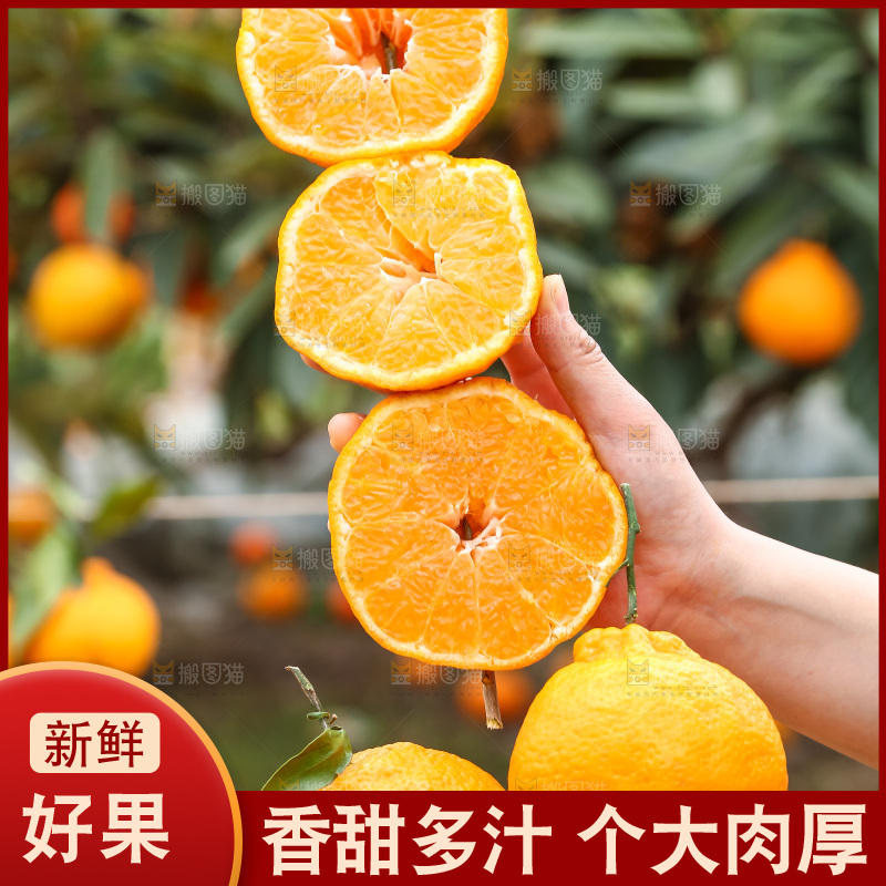 手里拿着丑八怪