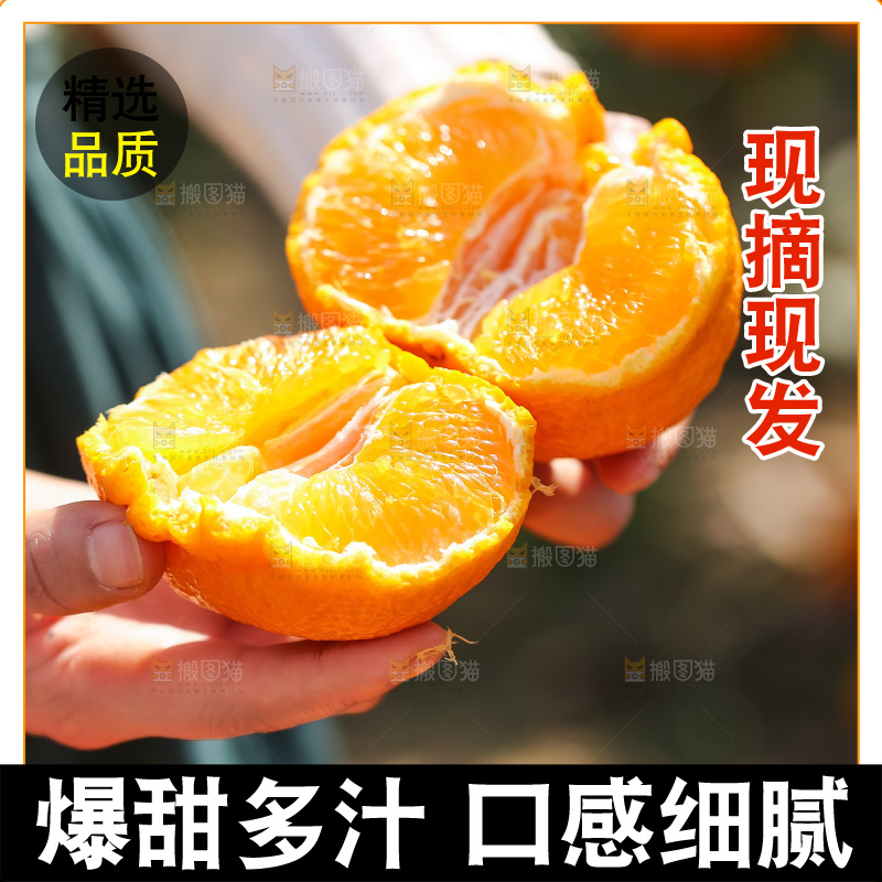手里拿着丑八怪