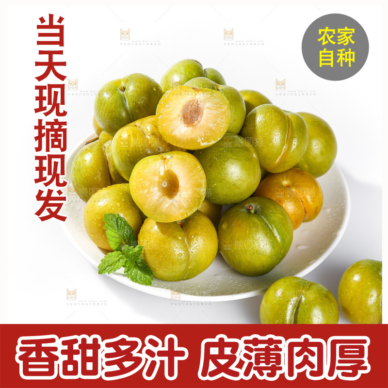 白底上的蜂糖李