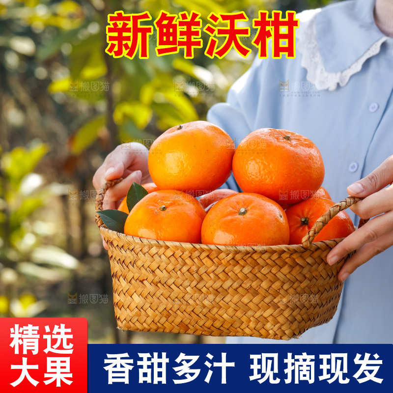 手里拿着沃柑