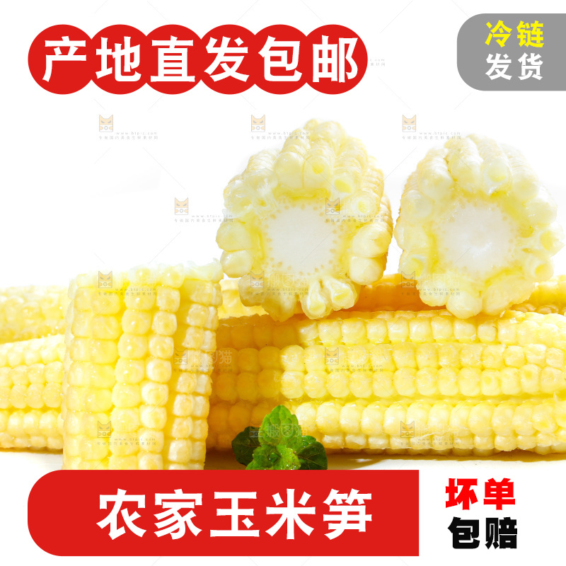 白底上的珍珠笋