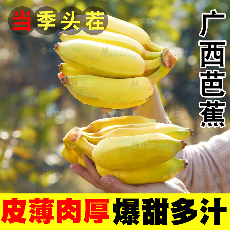 手里拿着广西芭蕉