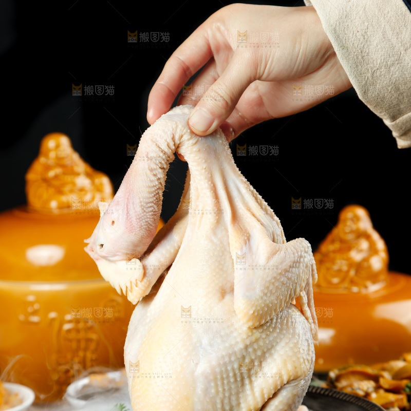 深底上的佛跳墙食材