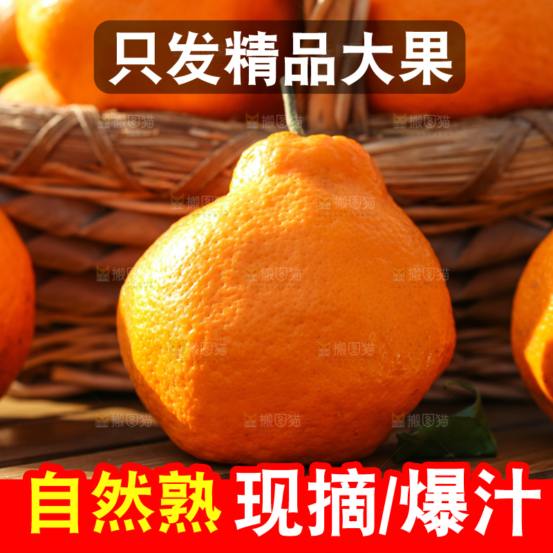 草地上的耙耙柑