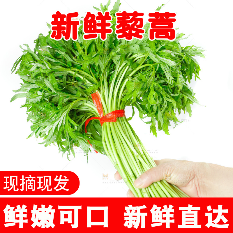 白底上放着藜蒿