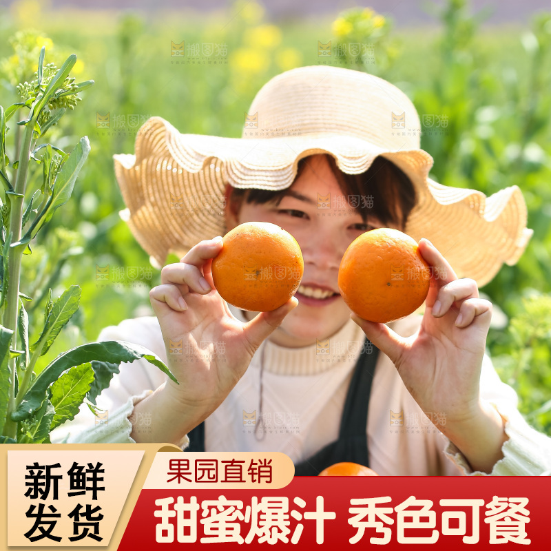 手里拿着新鲜沃柑