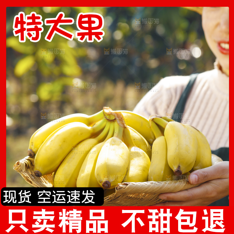 手里拿着广西芭蕉