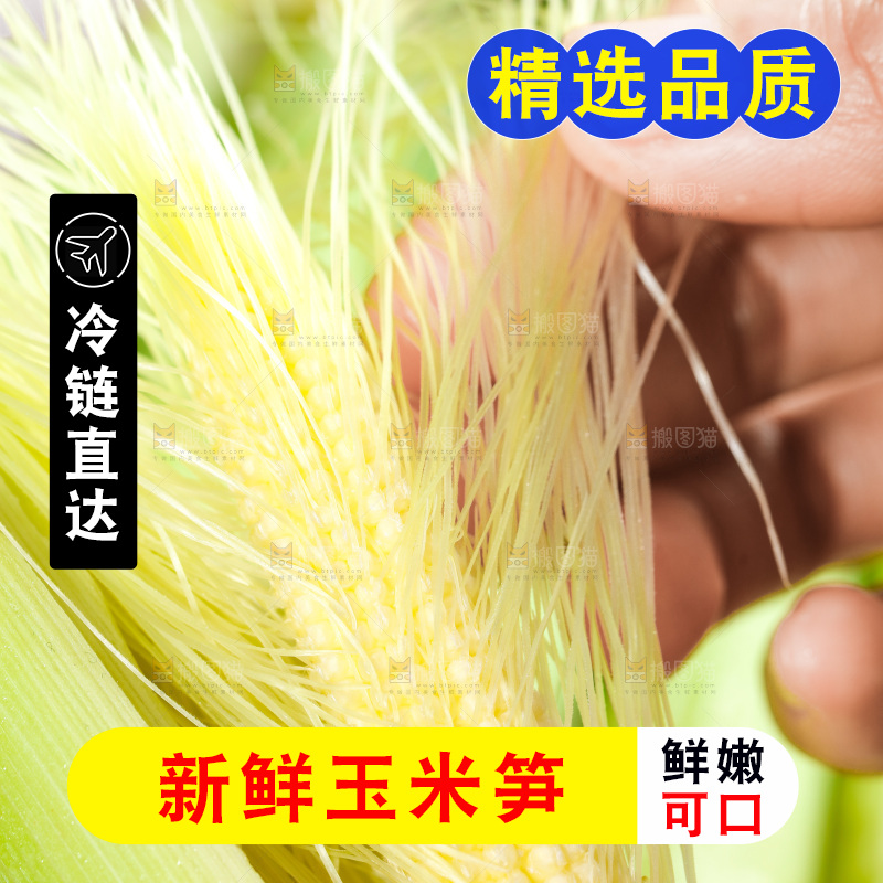 深底上的玉米笋