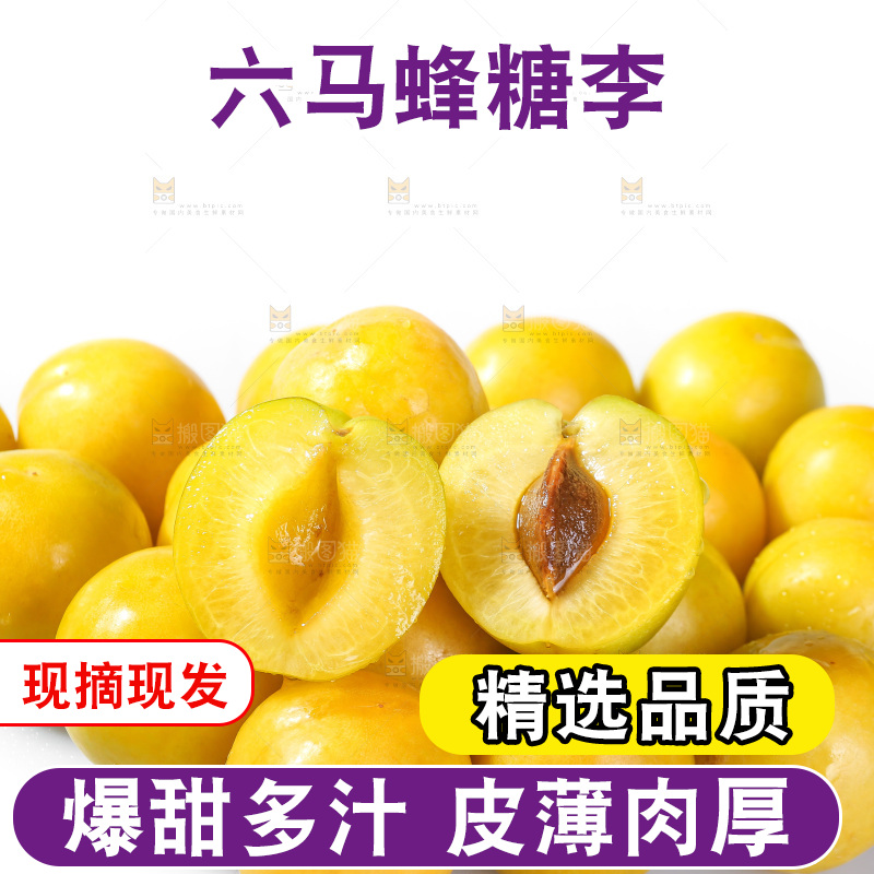 白底上的蜂糖李