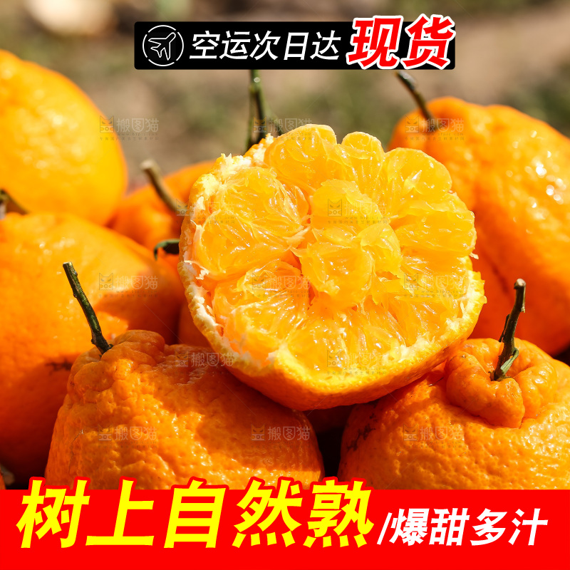 草地上的耙耙柑