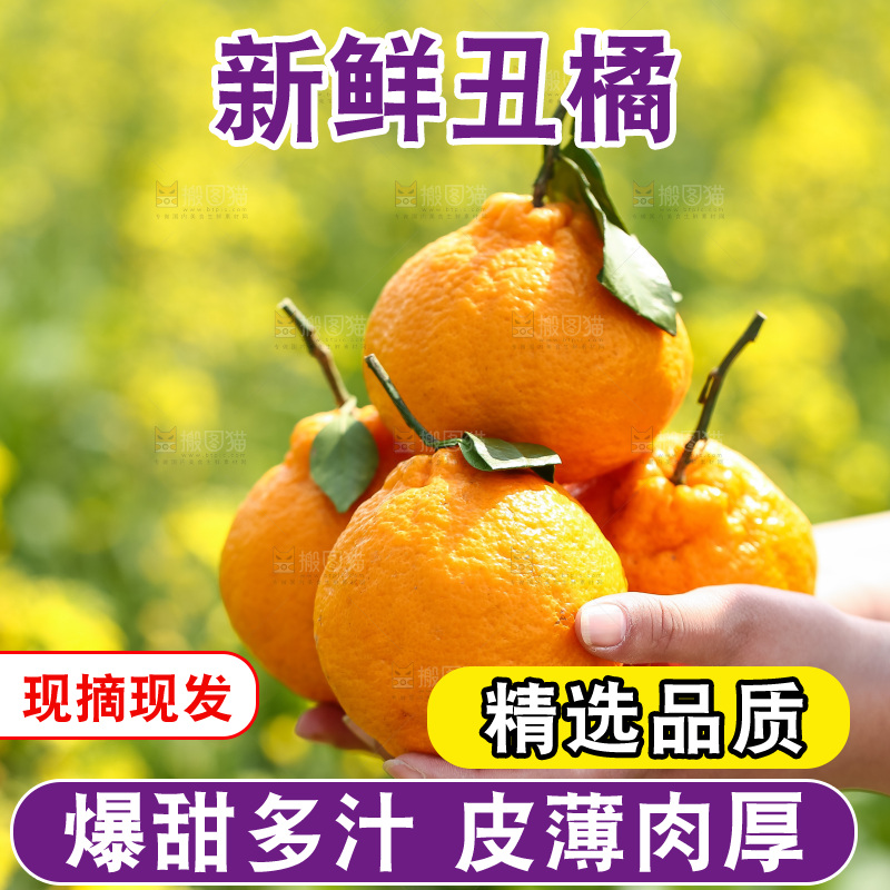 手里拿着丑八怪