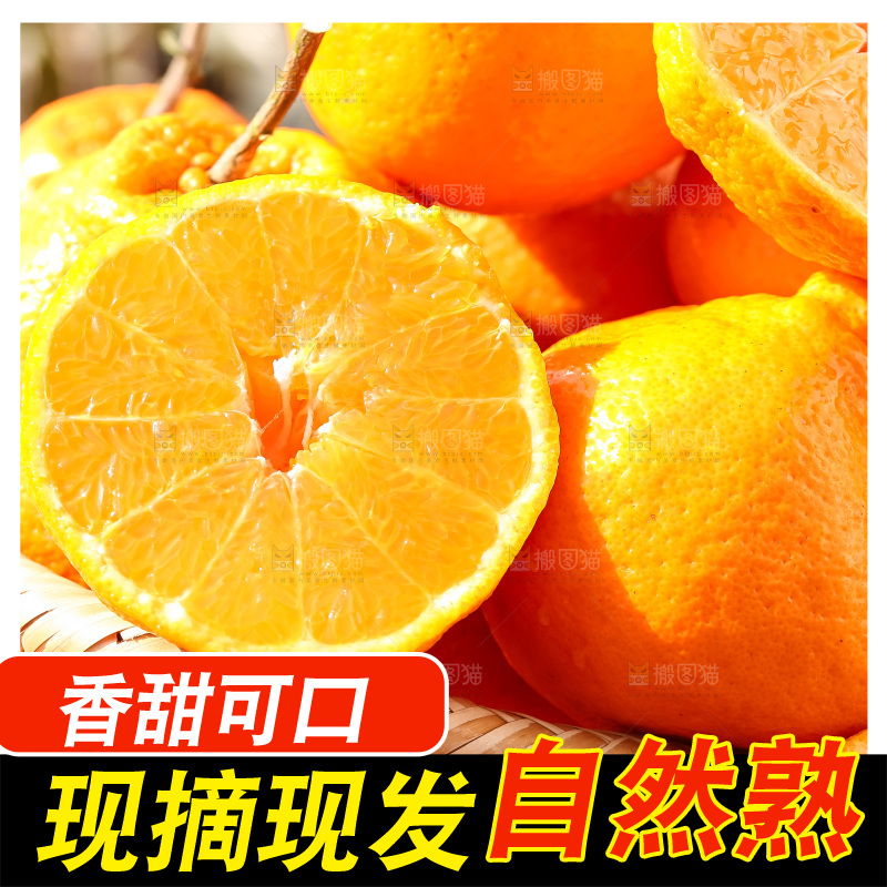 草地上的耙耙柑