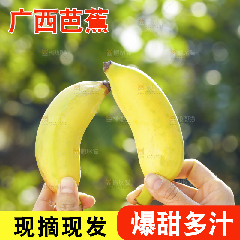 手里拿着广西芭蕉