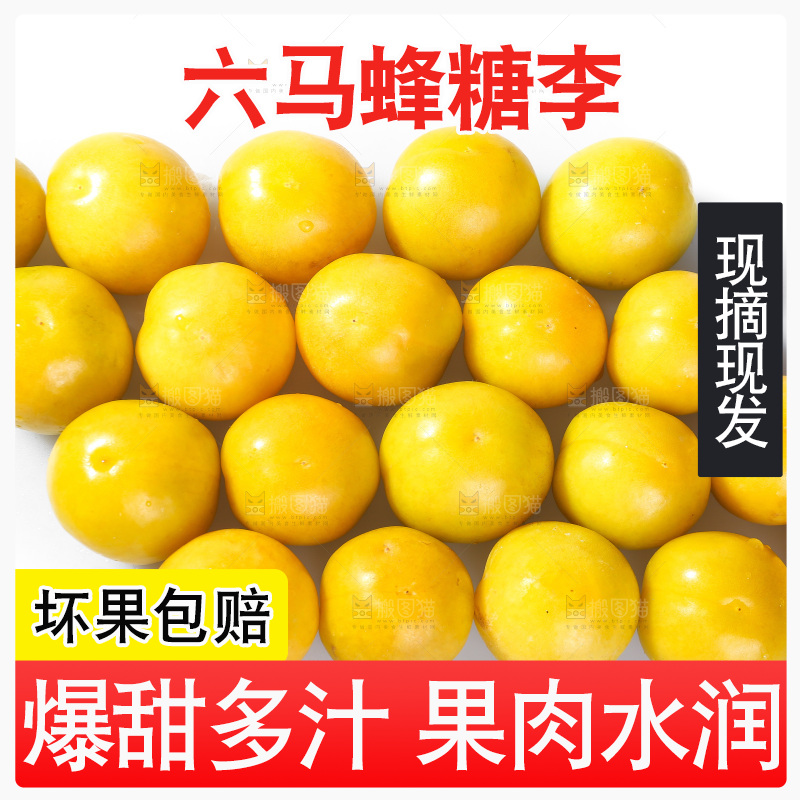 白底上的蜂糖李