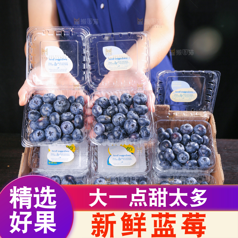 黑底上摆着的新鲜蓝莓