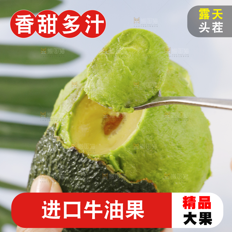 浅底上的巨无霸牛油果