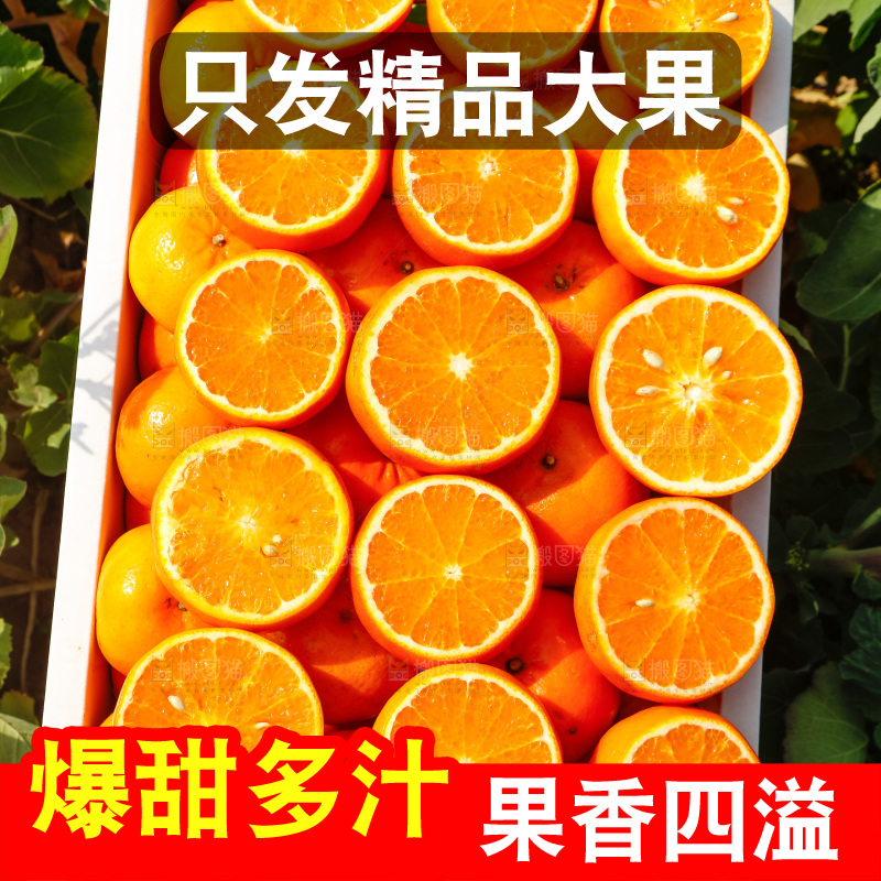 堆放着的新鲜沃柑