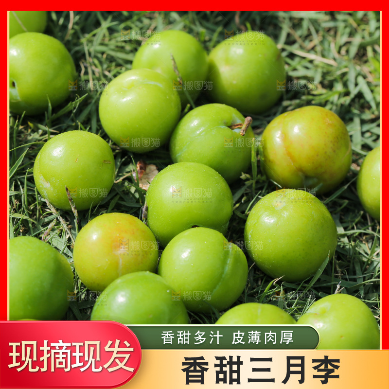 草地上放着青脆李