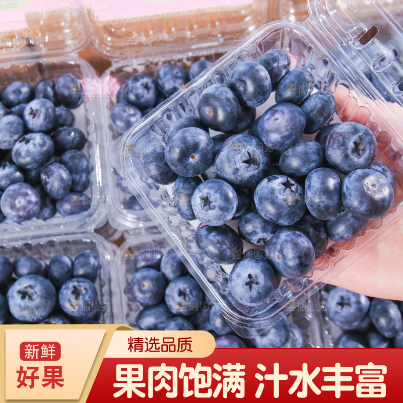 浅底上的新鲜蓝莓