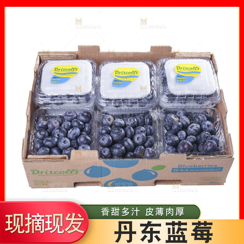 白底上放着的新鲜蓝莓