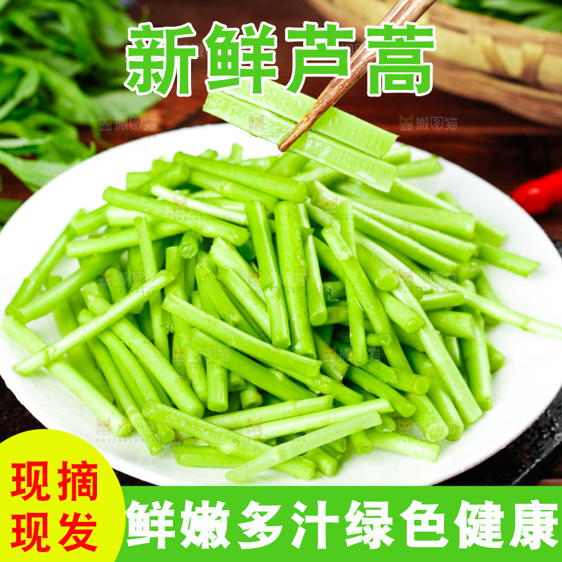 木底上的江西藜蒿
