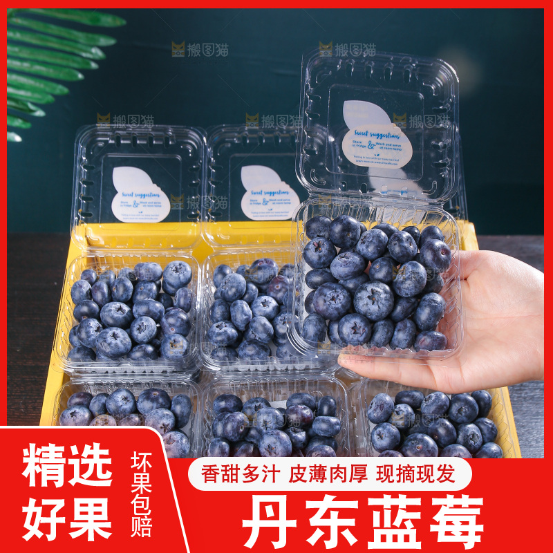 黑底上摆着的新鲜蓝莓