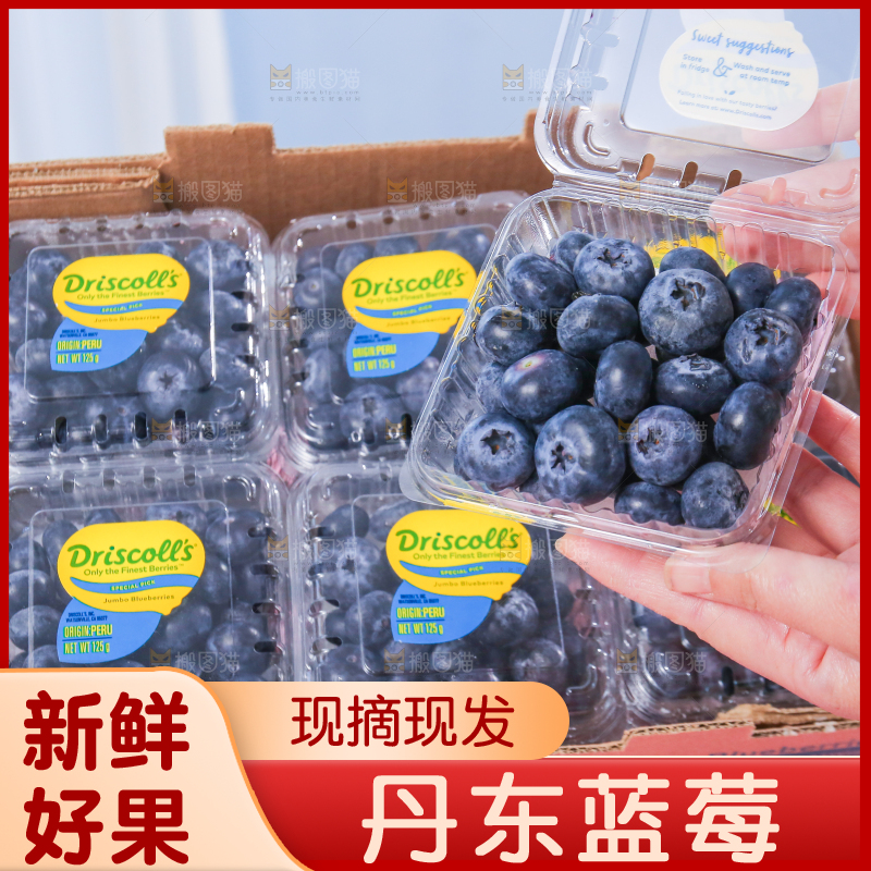 浅底上的新鲜蓝莓
